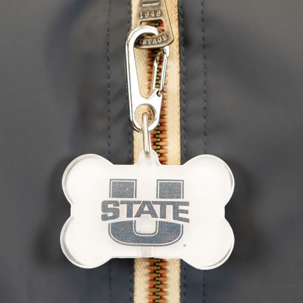 u-state bone zipper pull led light